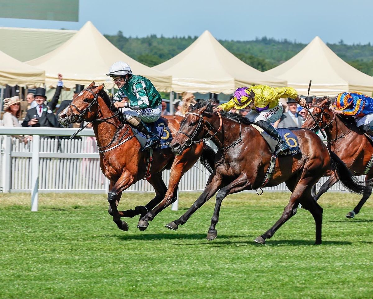 Hippodrome PMU France