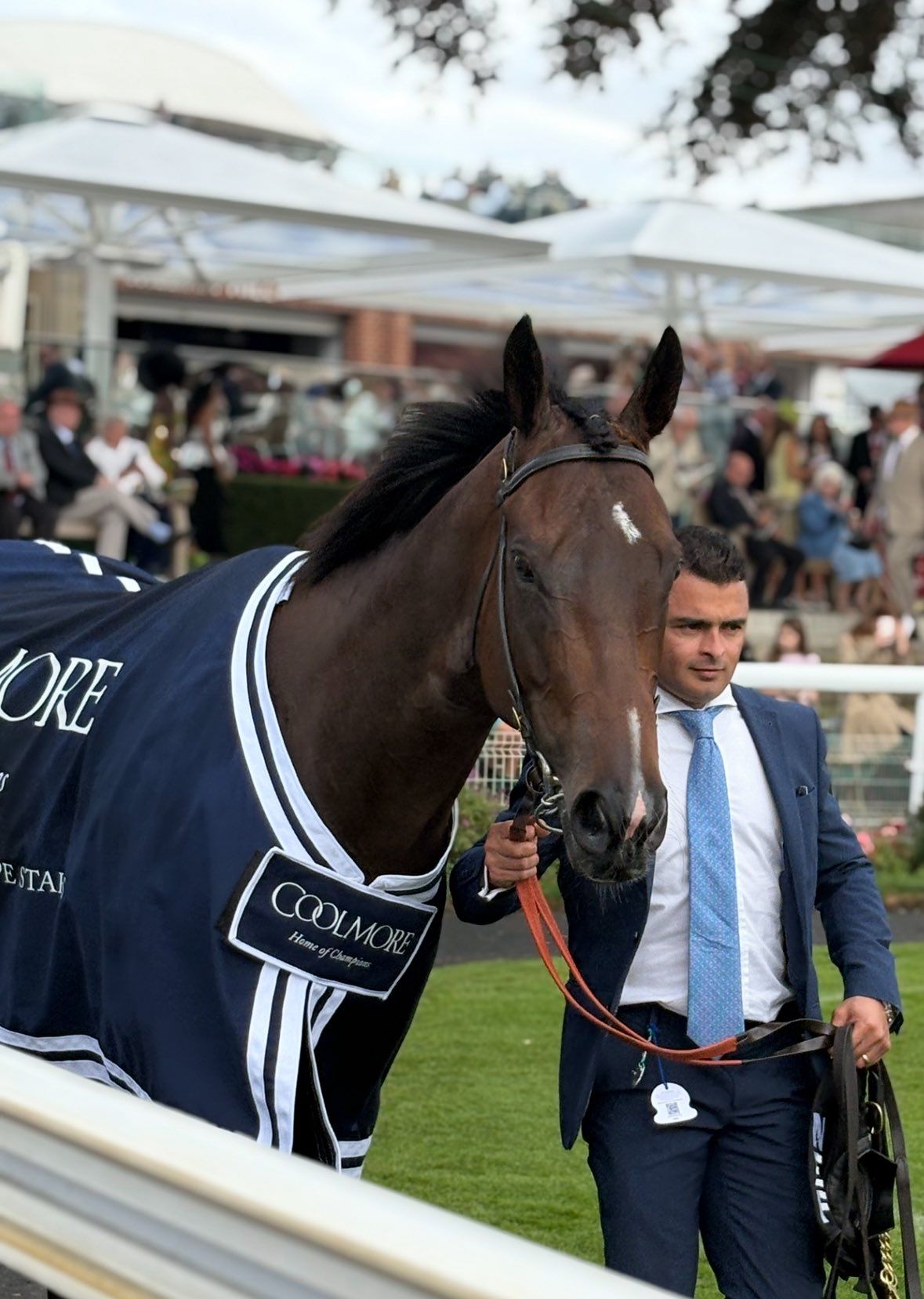 Avis Elite Turf : témoignages et résultats réels de nos membres